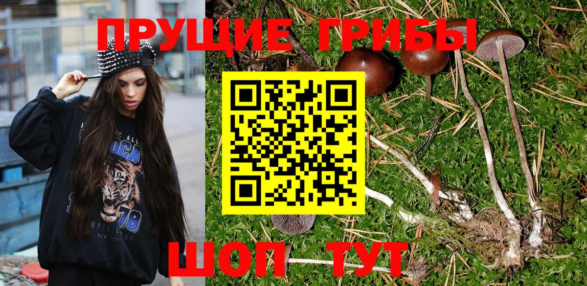 Псилоцибиновые грибы Magic Shrooms  Вход с VPN  Галлюциногенные грибы прущие грибы  Набережные Челны 